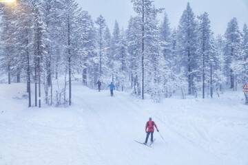 Фото номера Шале с двумя спальнями Шале Chalet Kuukkeli AuroraCabins г. Саариселькя 28