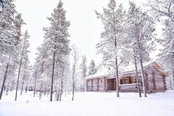 Фото номера Шале с двумя спальнями Шале Chalet Kuukkeli AuroraCabins г. Саариселькя 27
