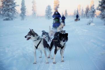 Фото номера Шале с 12 спальнями Шале Huskylodge г. Саариселькя 38