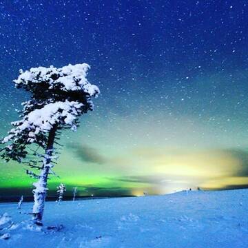 Фото номера Шале Шале Arctic Log cabin г. Саариселькя 19