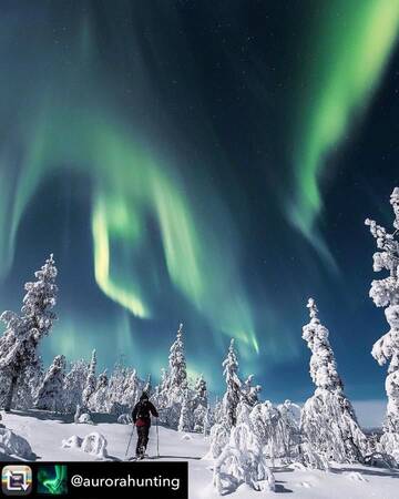 Фото номера Шале Шале Arctic Log cabin г. Саариселькя 9