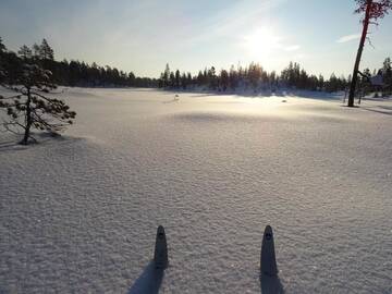 Фото номера Двухместный номер с 1 кроватью или 2 отдельными кроватями Виллы Arctic Sky Lapland г. Саариселькя 31
