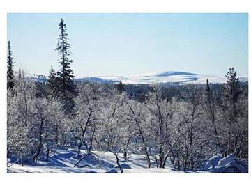 Фото номера Дом для отпуска Дома для отпуска Holiday Home Kiisa a г. Саариселькя 12